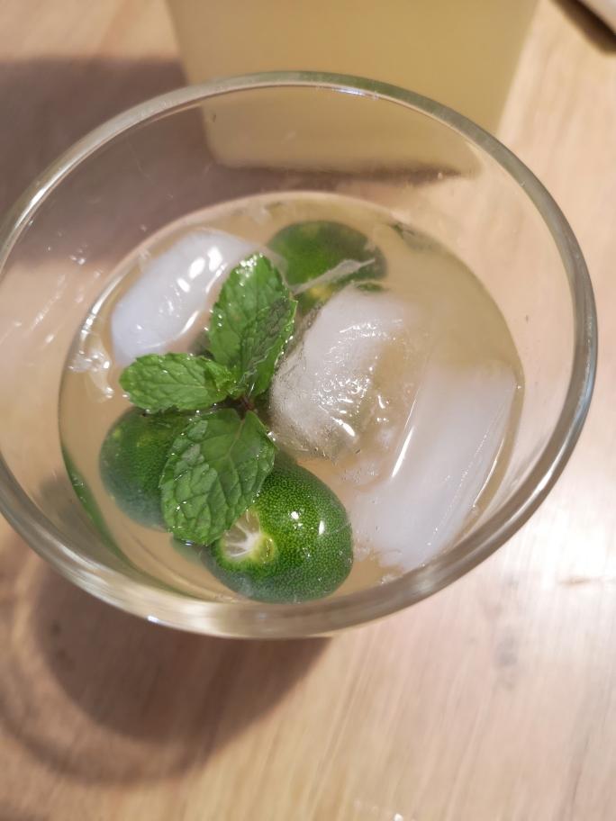 清爽透心凉的夏日酸柑水的做法