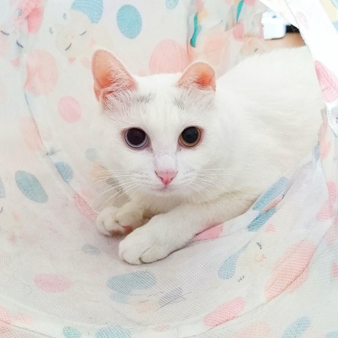 Jerry是个挑食怪