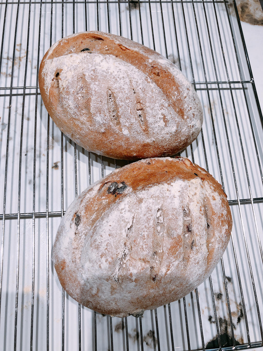 全麦蔓越莓核桃软欧包