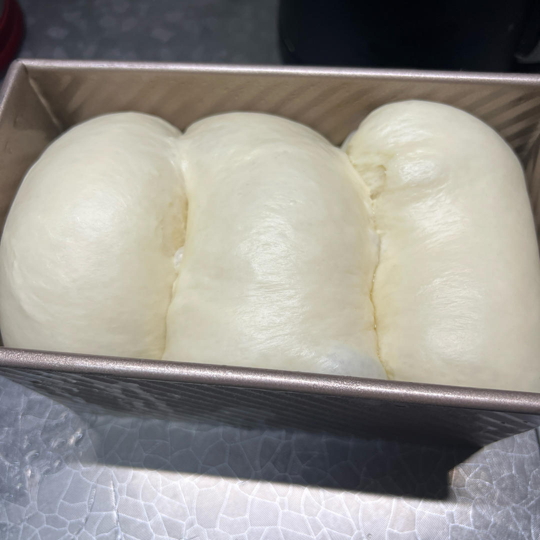 梦力B银座仁志川生吐司