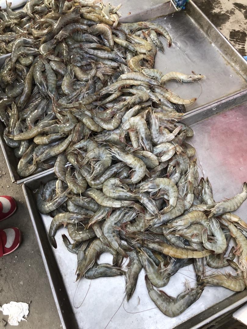 记录我做过的海鲜们