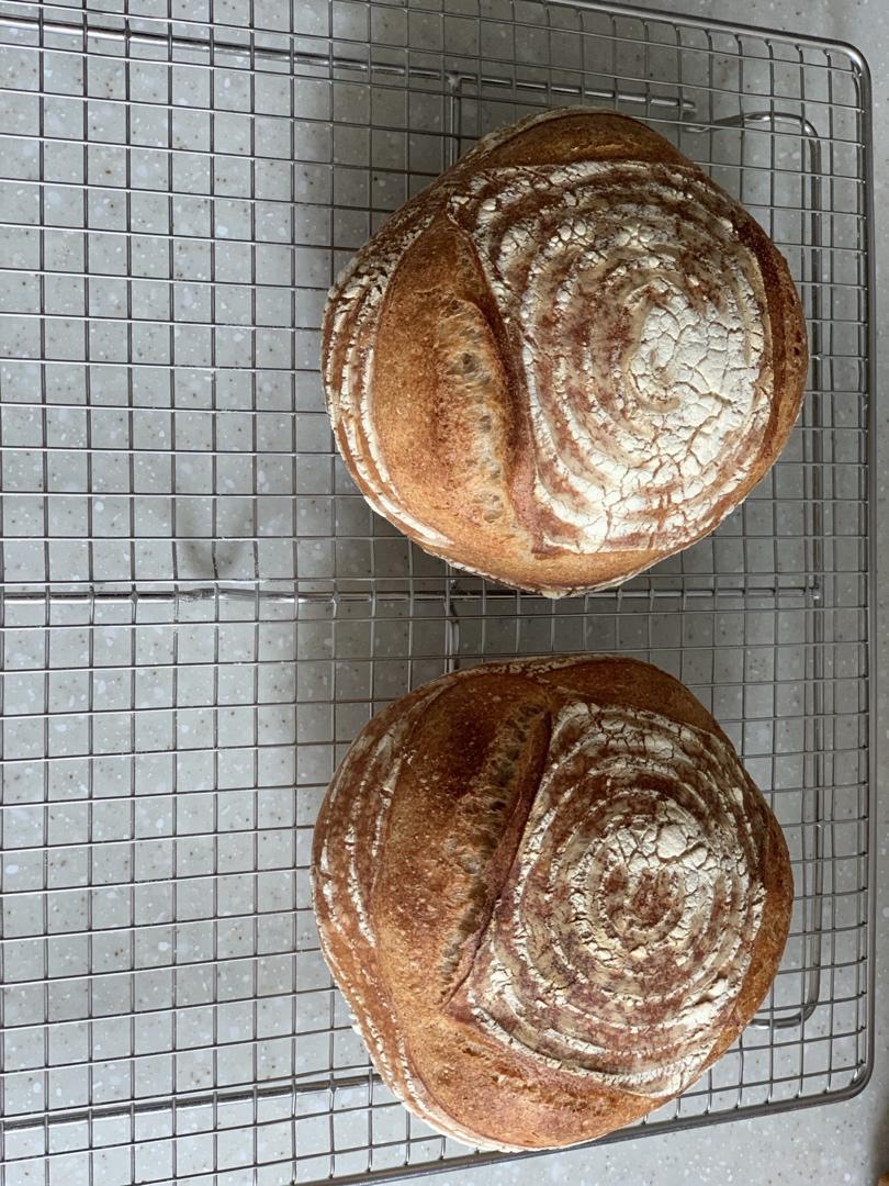 裸麦农夫欧包（硬式鲁邦种）