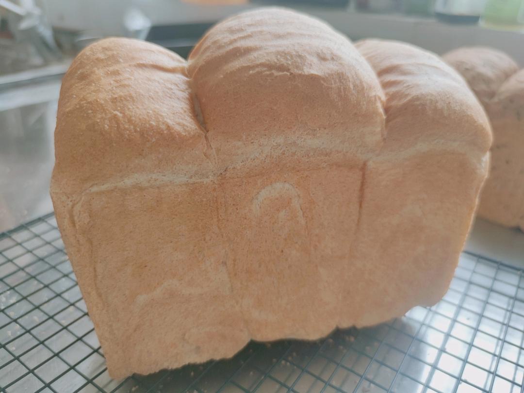 减脂｜无糖全麦吐司🍞，无糖全麦也能长得高