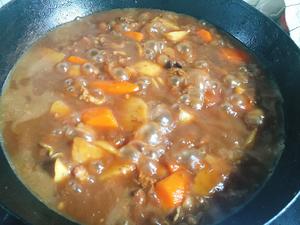 土豆胡萝卜炖牛肉的做法 步骤4