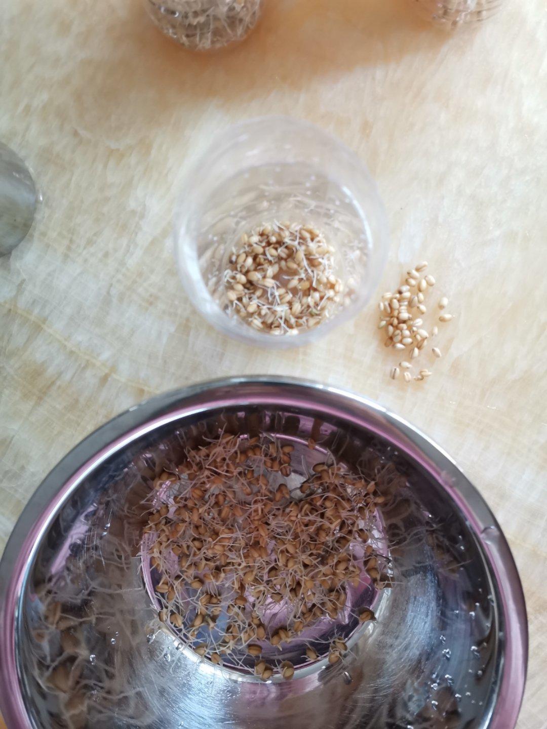 自制麦芽糖
