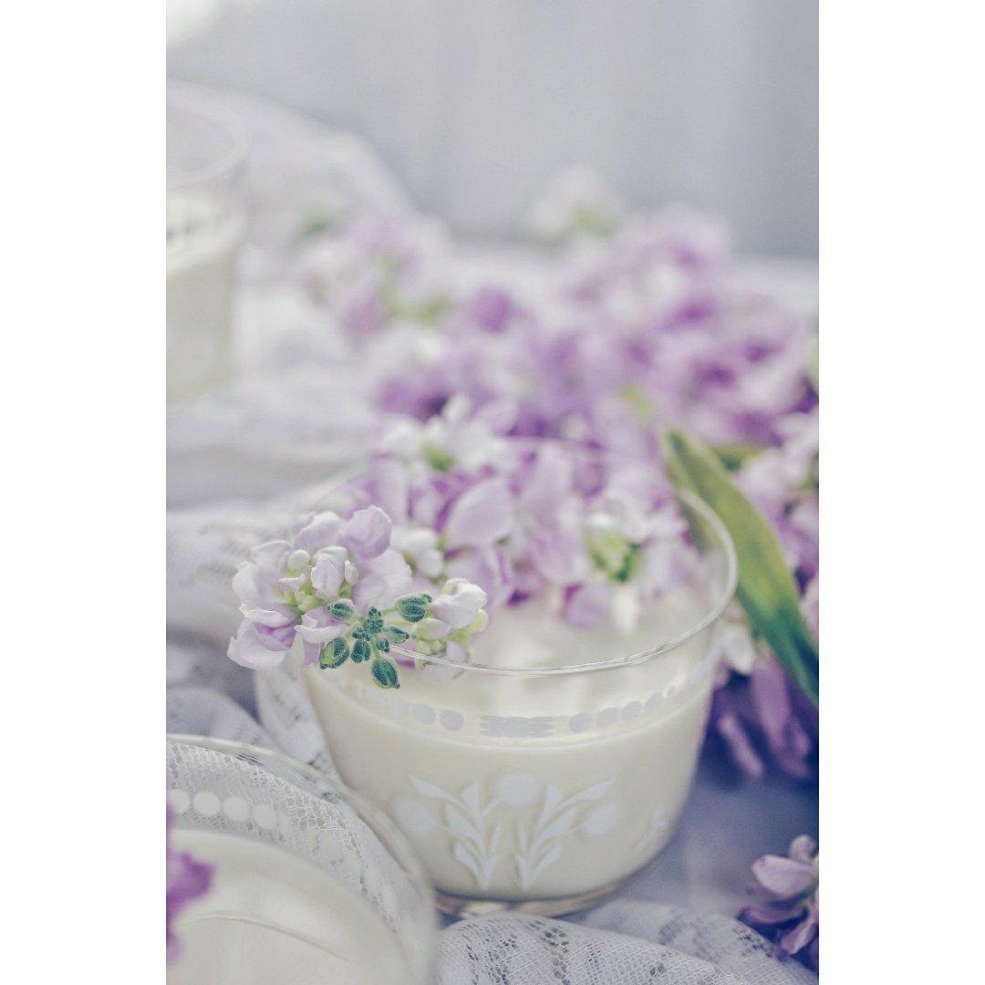 小嶋老师的茉莉奶冻