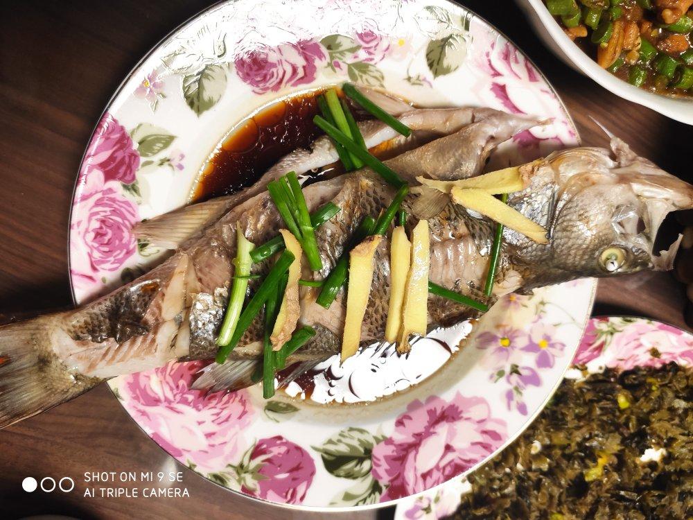 清蒸鱼（桂鱼、鲈鱼、多宝、鳊鱼均适用）