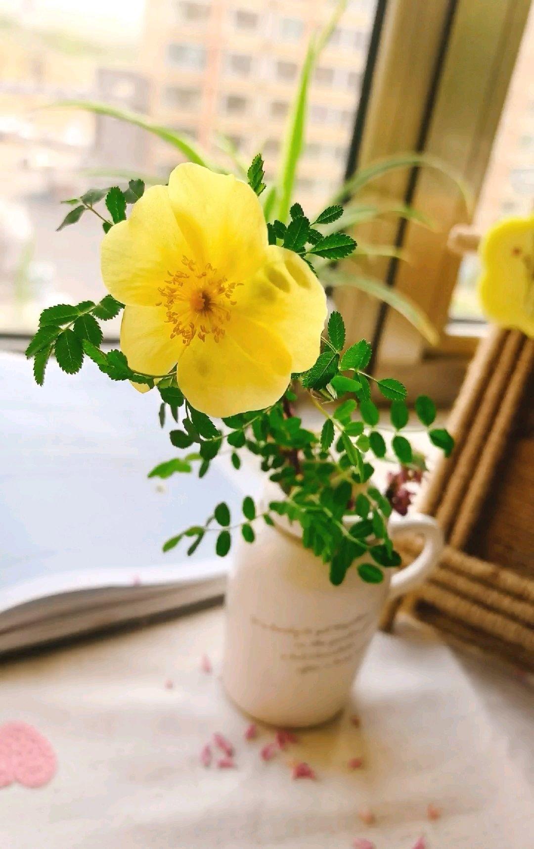 菠萝树摆盘