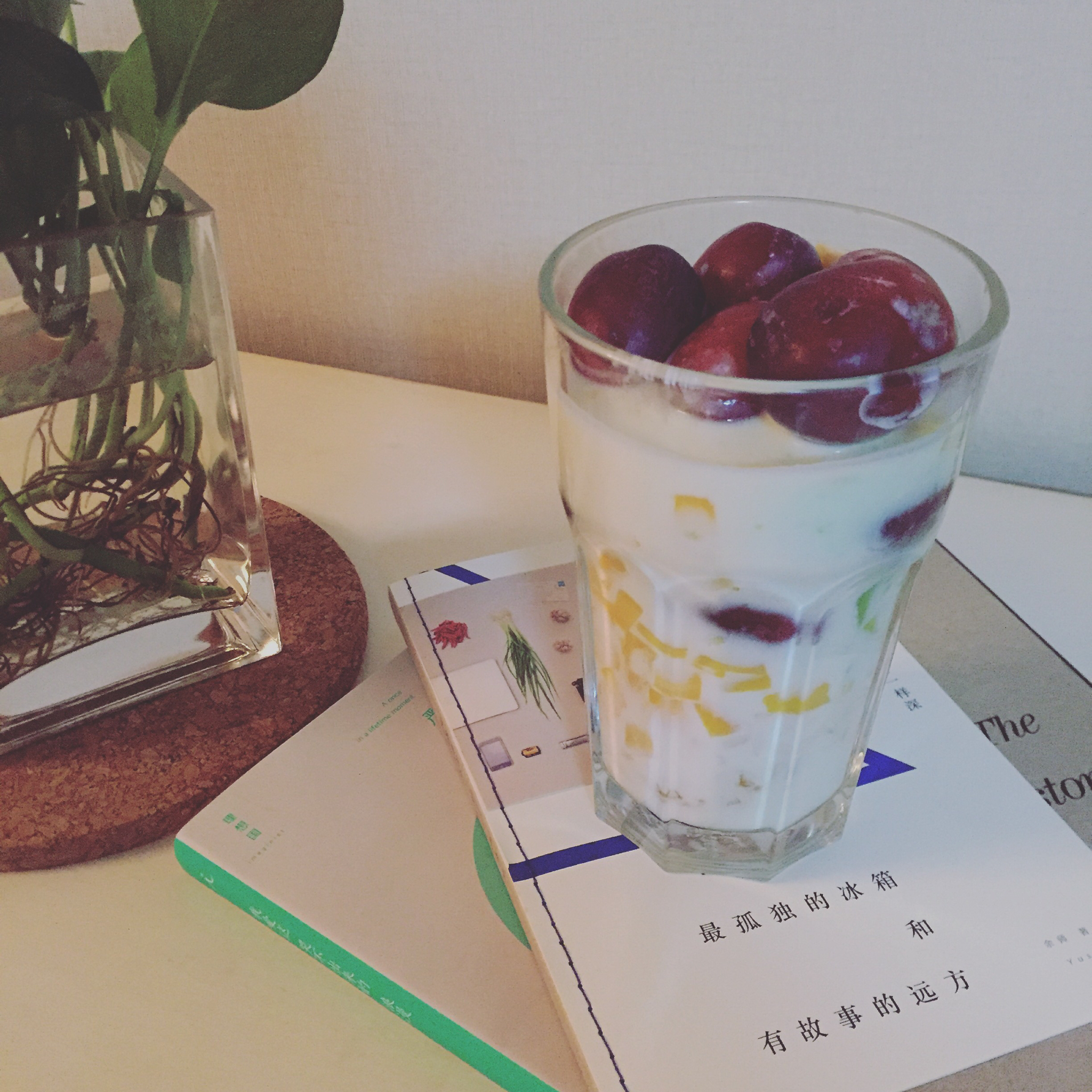 Oatmeal/Cereal 隔夜燕麦/谷物酸奶 【快手早餐】