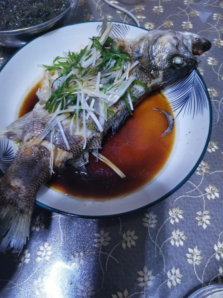清蒸鲈鱼🐟附去腥秘诀
