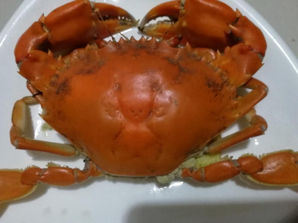 蝤蠓的做法