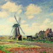 fys是颗想变成植物的蘑菇