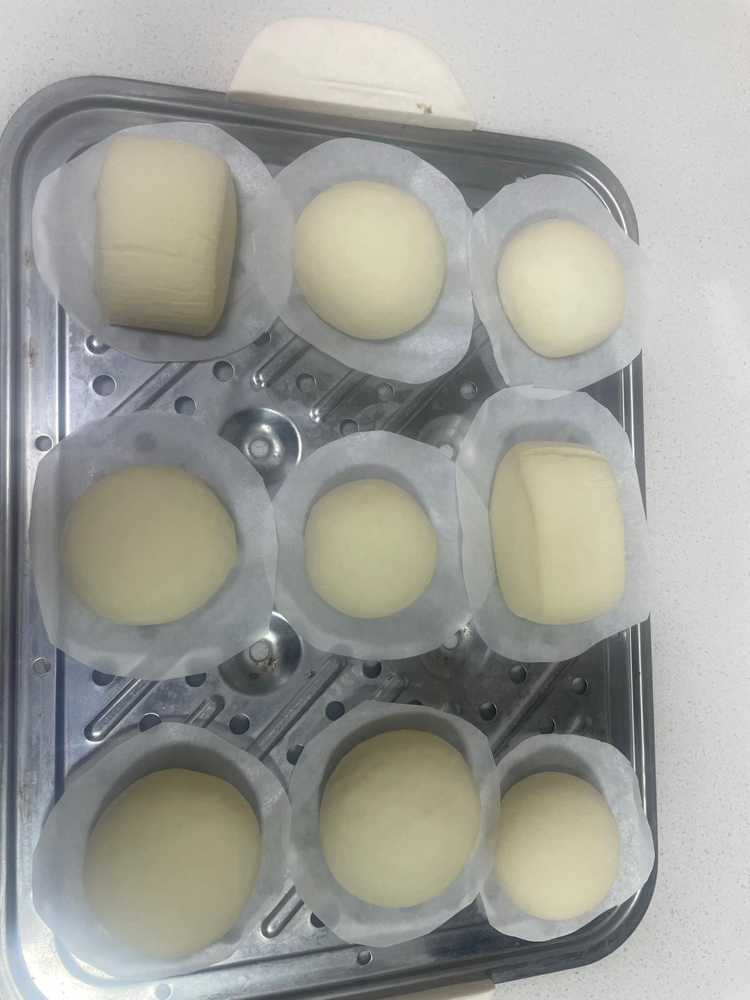 新手做馒头也能100%成功——附上非常详细的视频步骤（一次发酵法）