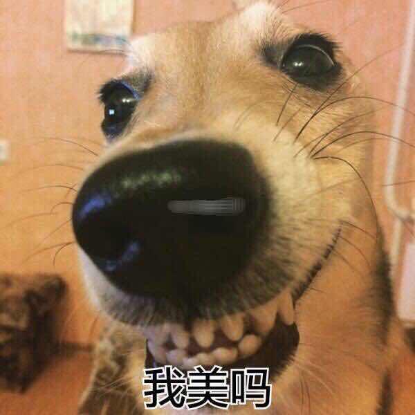 平平无奇的厨艺小能手