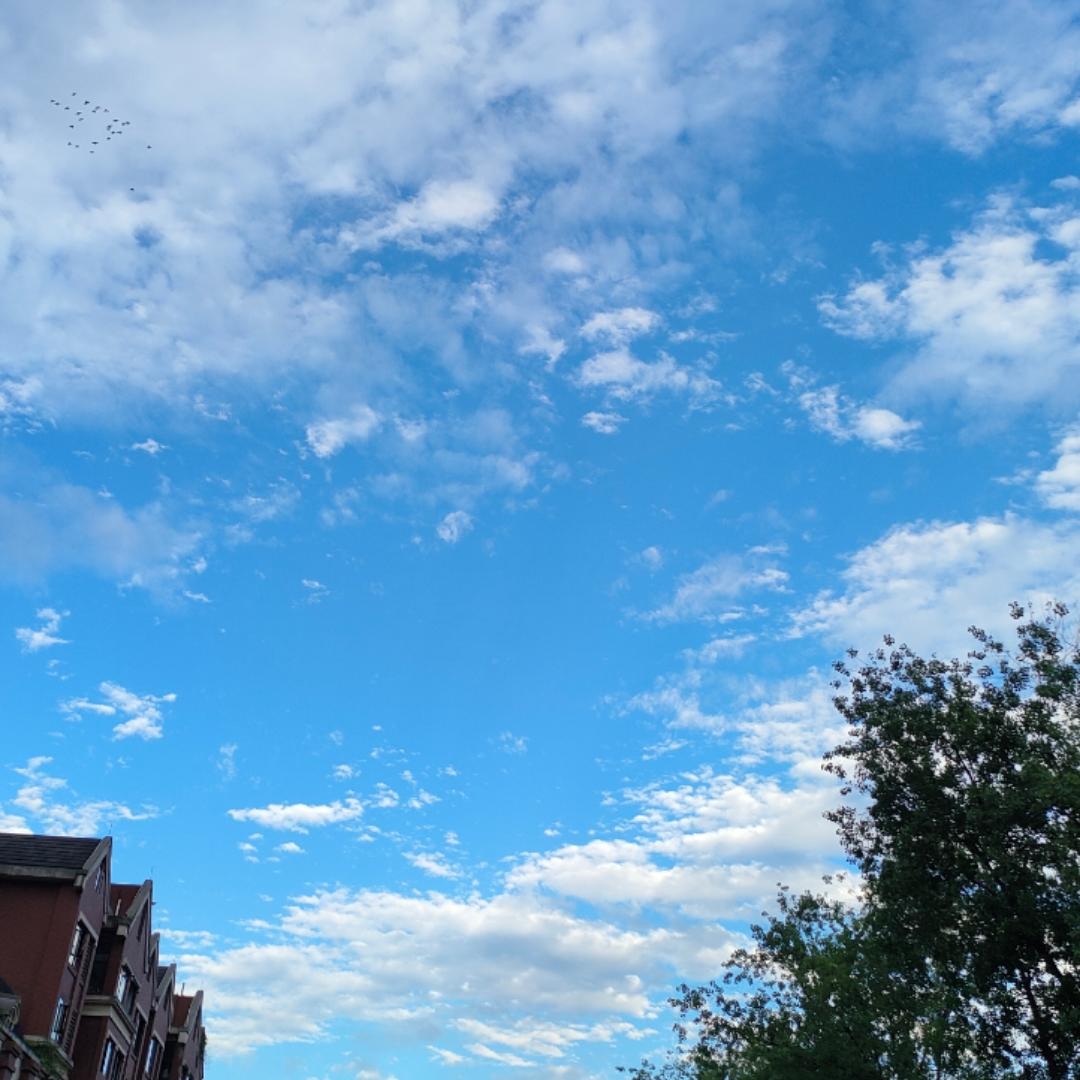 下厨房用户_2ylsc