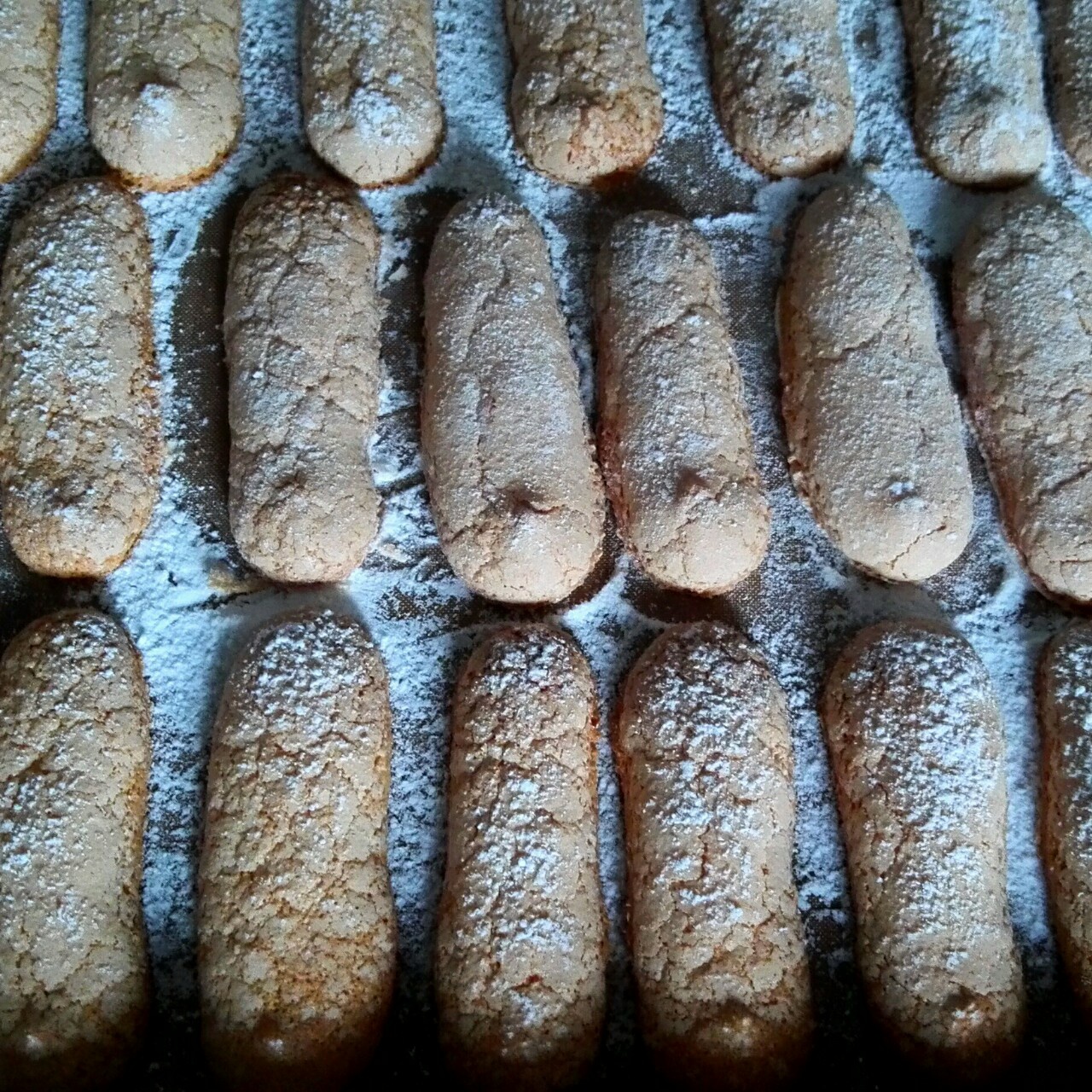 Ladyfinger手指饼干