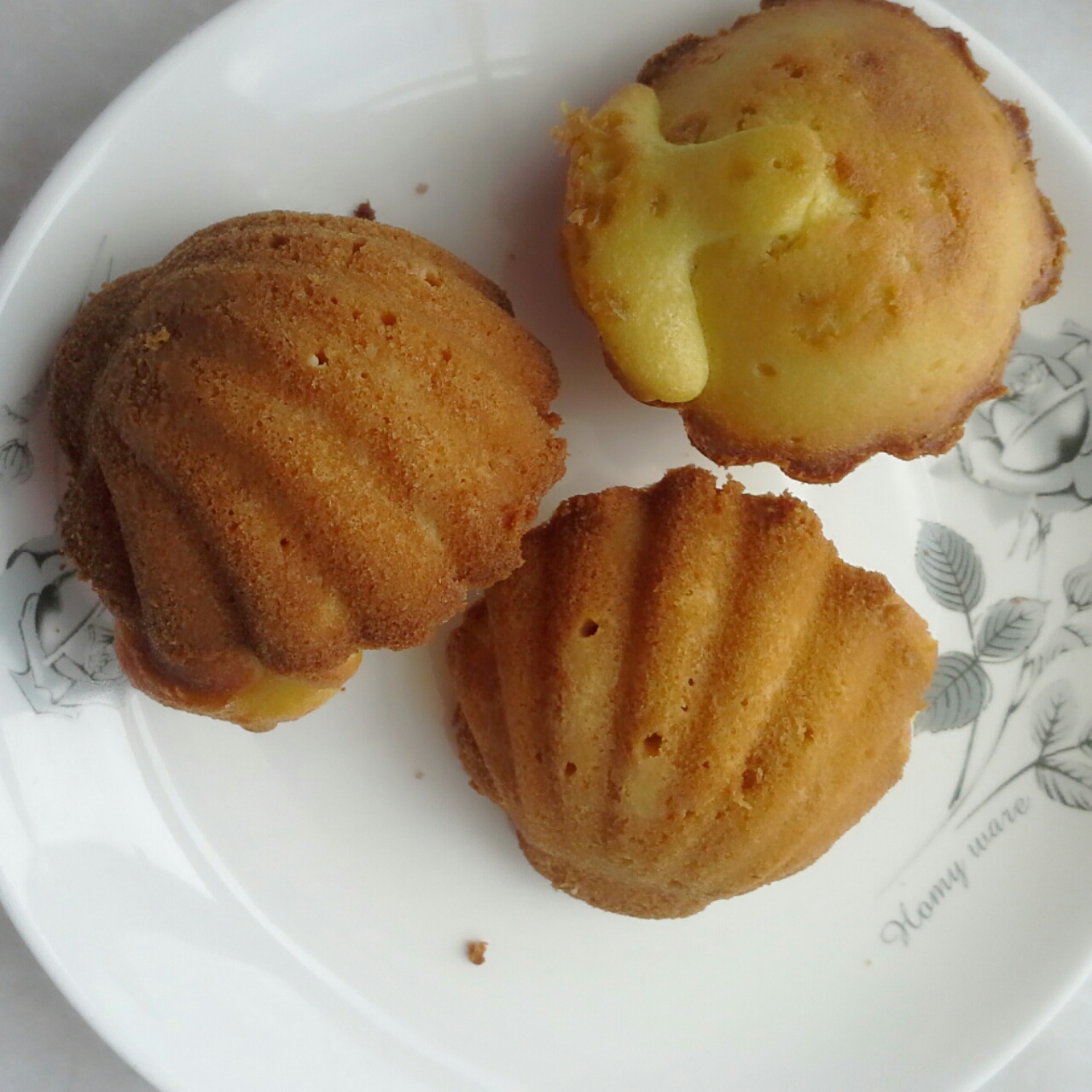 玛德琳（蓝带方）