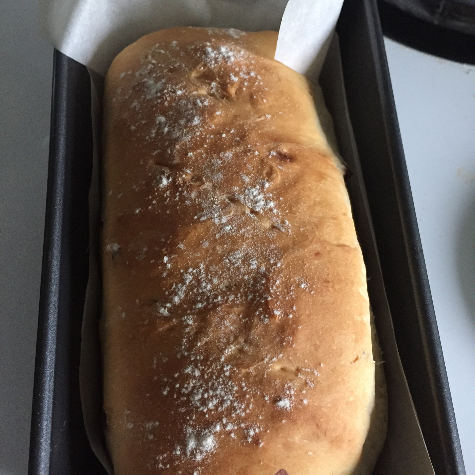 全麦蔓越莓乳酪软欧（附法国老面配方）