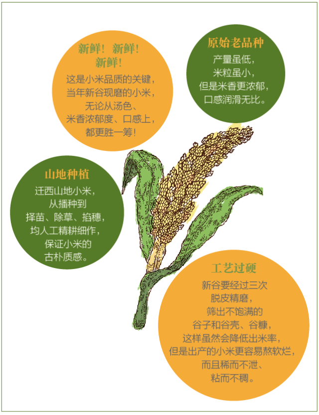 当年新谷现磨小米粥