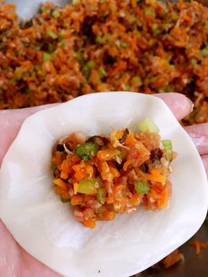 胡萝卜香菇芹菜饺子的做法 步骤3