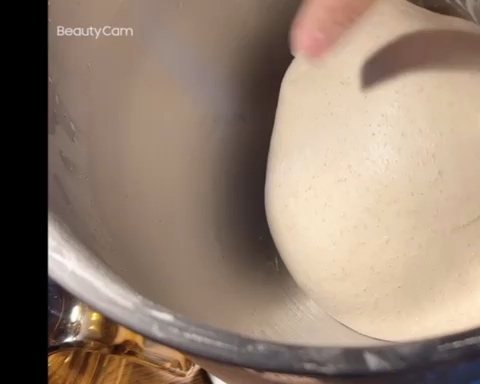 柠檬酵液巧克力欧包的做法 步骤6