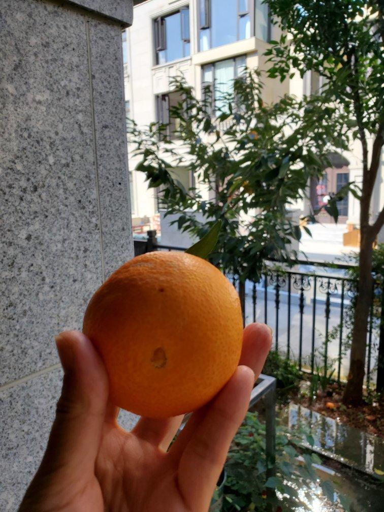 昔日阳台今日小院