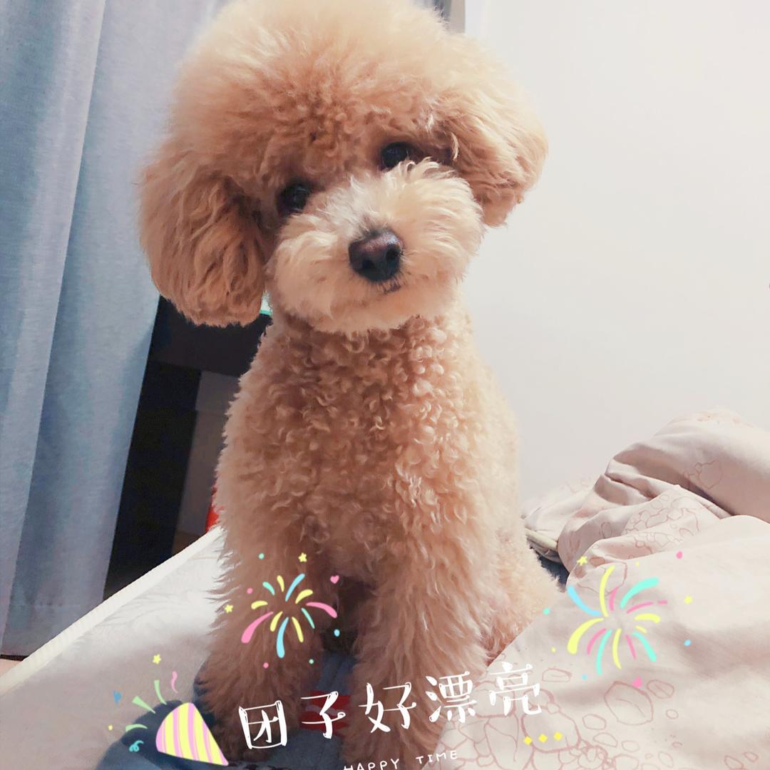 于淼淼吖