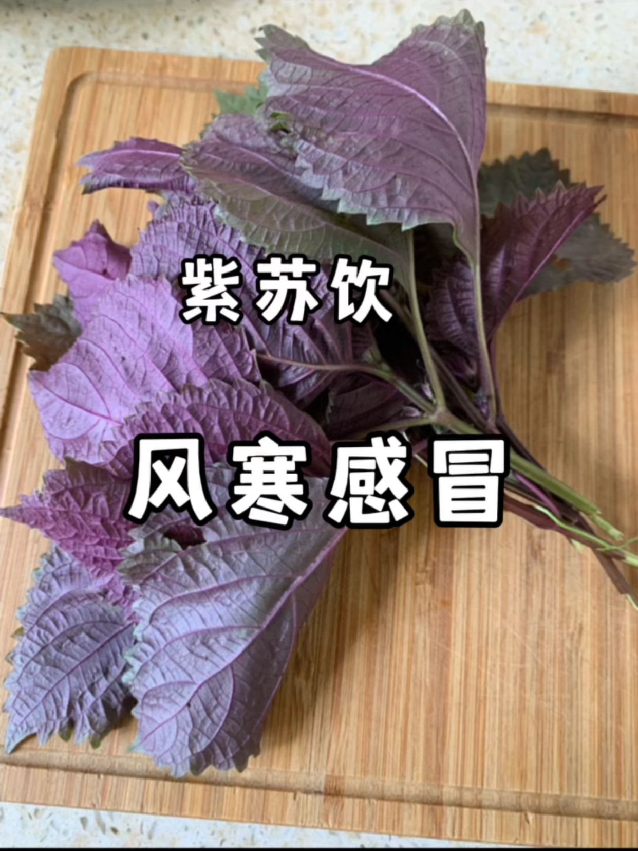 紫苏——风寒、寒湿体质的福音的做法