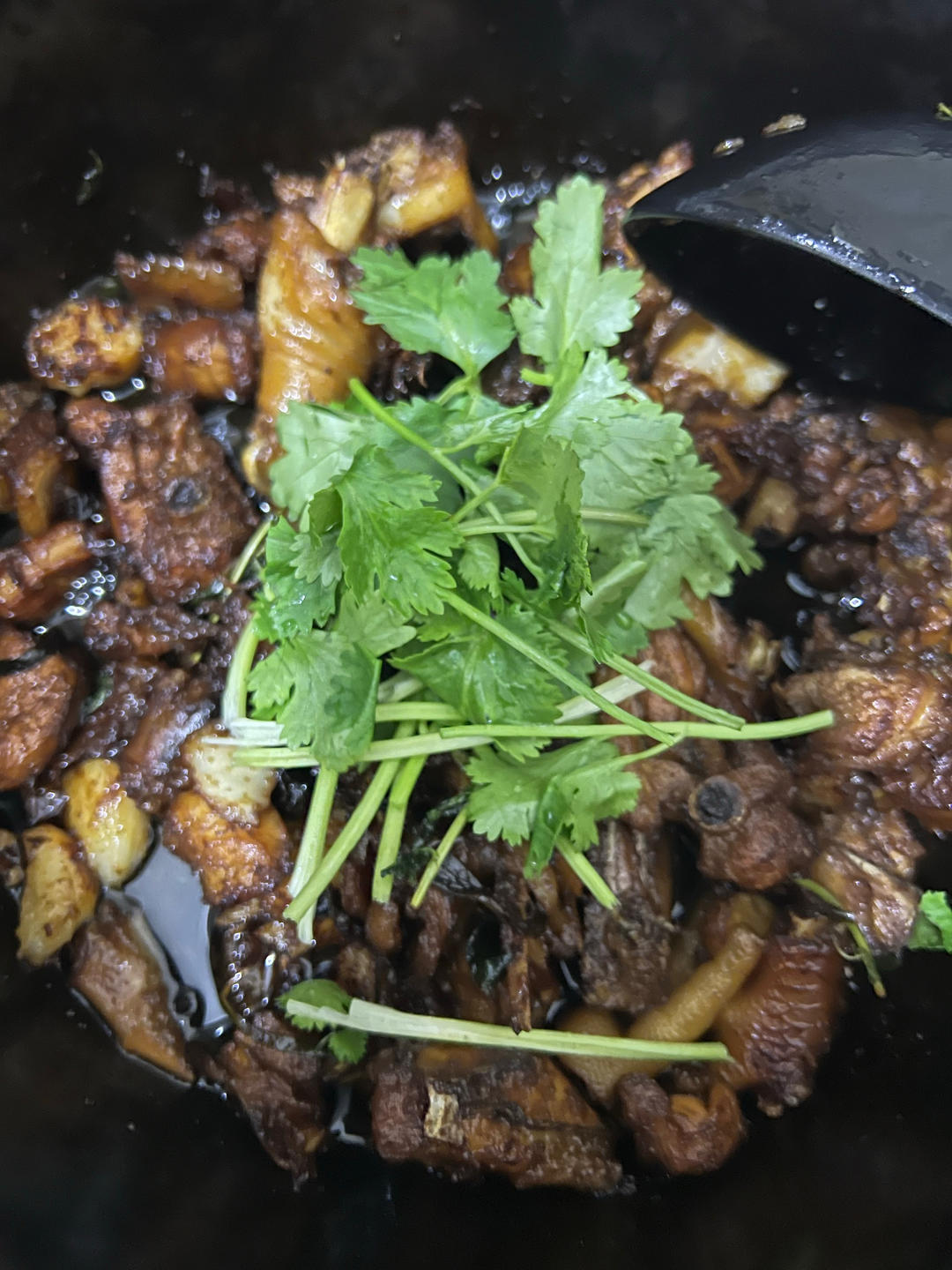 正宗台式三杯鸡（零失败！周围朋友全都赞不绝口！ 😁）