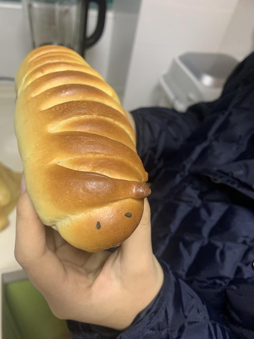 毛毛虫面包