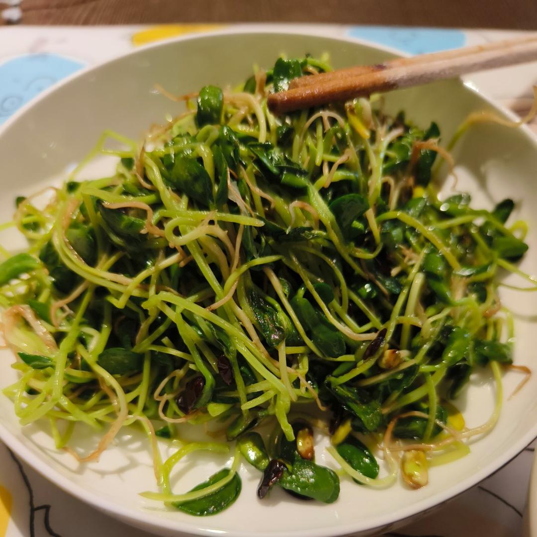 清炒黑豆苗（微辣）