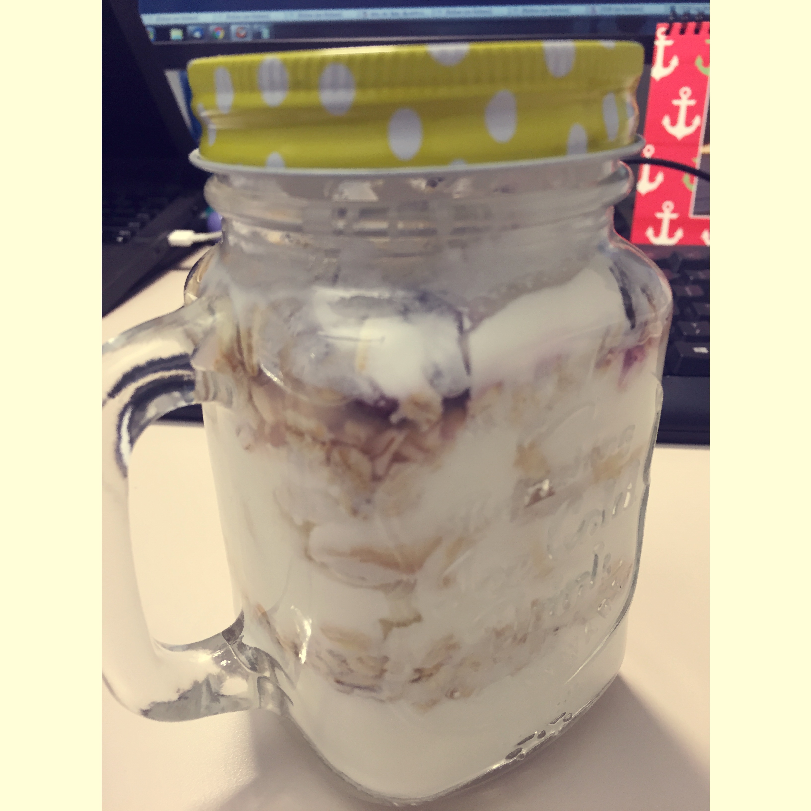 Overnight Oatmeal 隔夜早餐燕麦杯