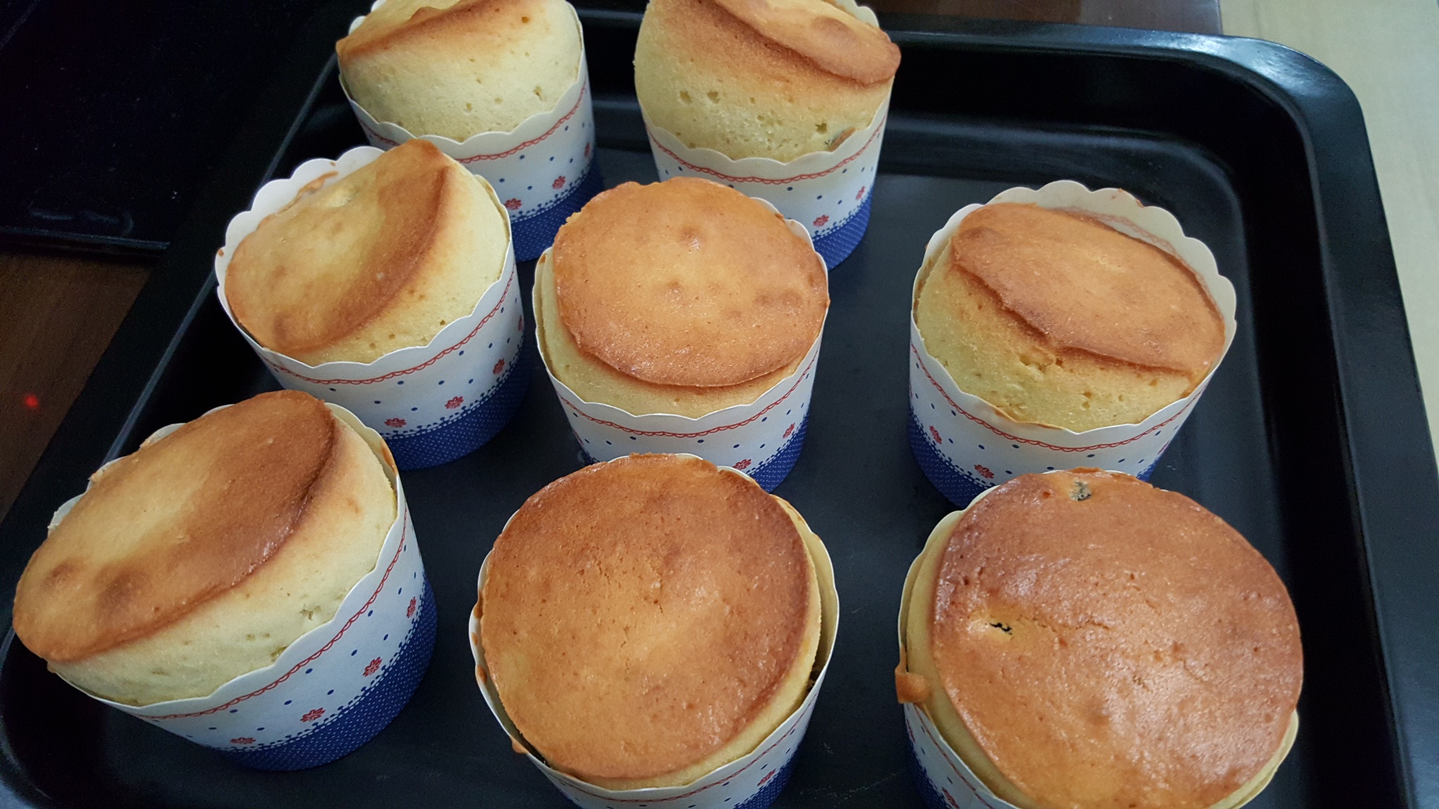 0失败的葡萄干麦芬