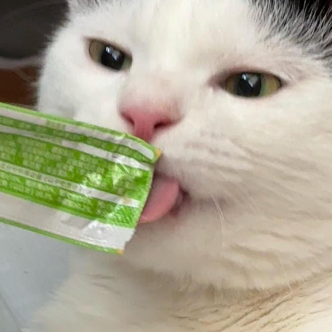 我没有摩托车别烦