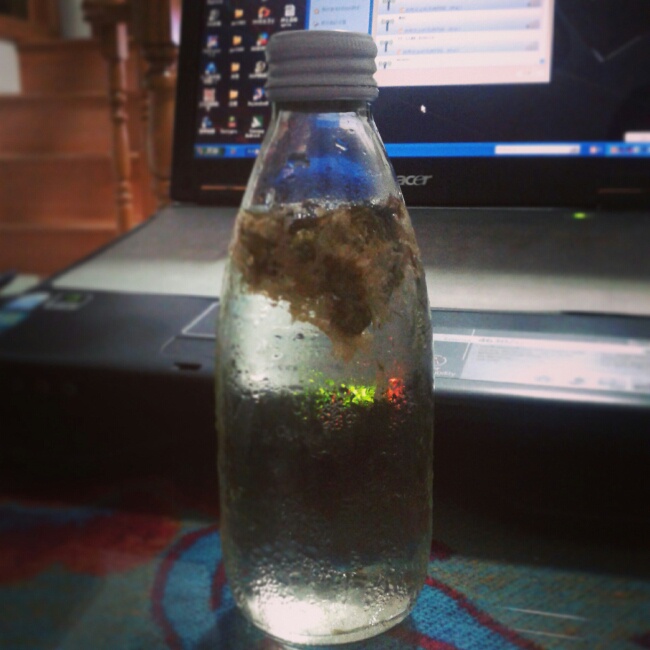 关于冷泡茶的一二三