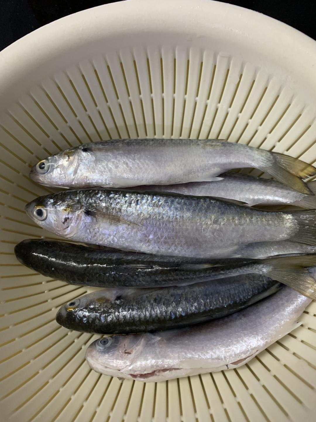 独门自创蒜香煎白蚬鱼的做法 步骤1