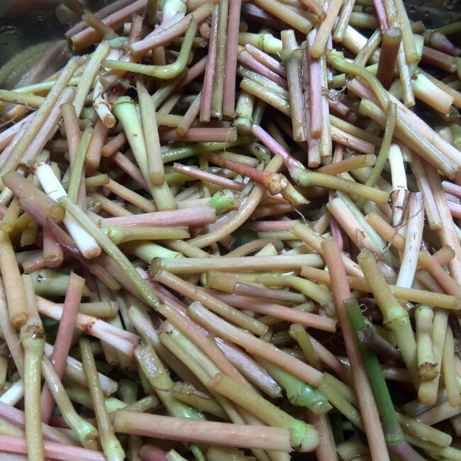 凉拌鱼腥草