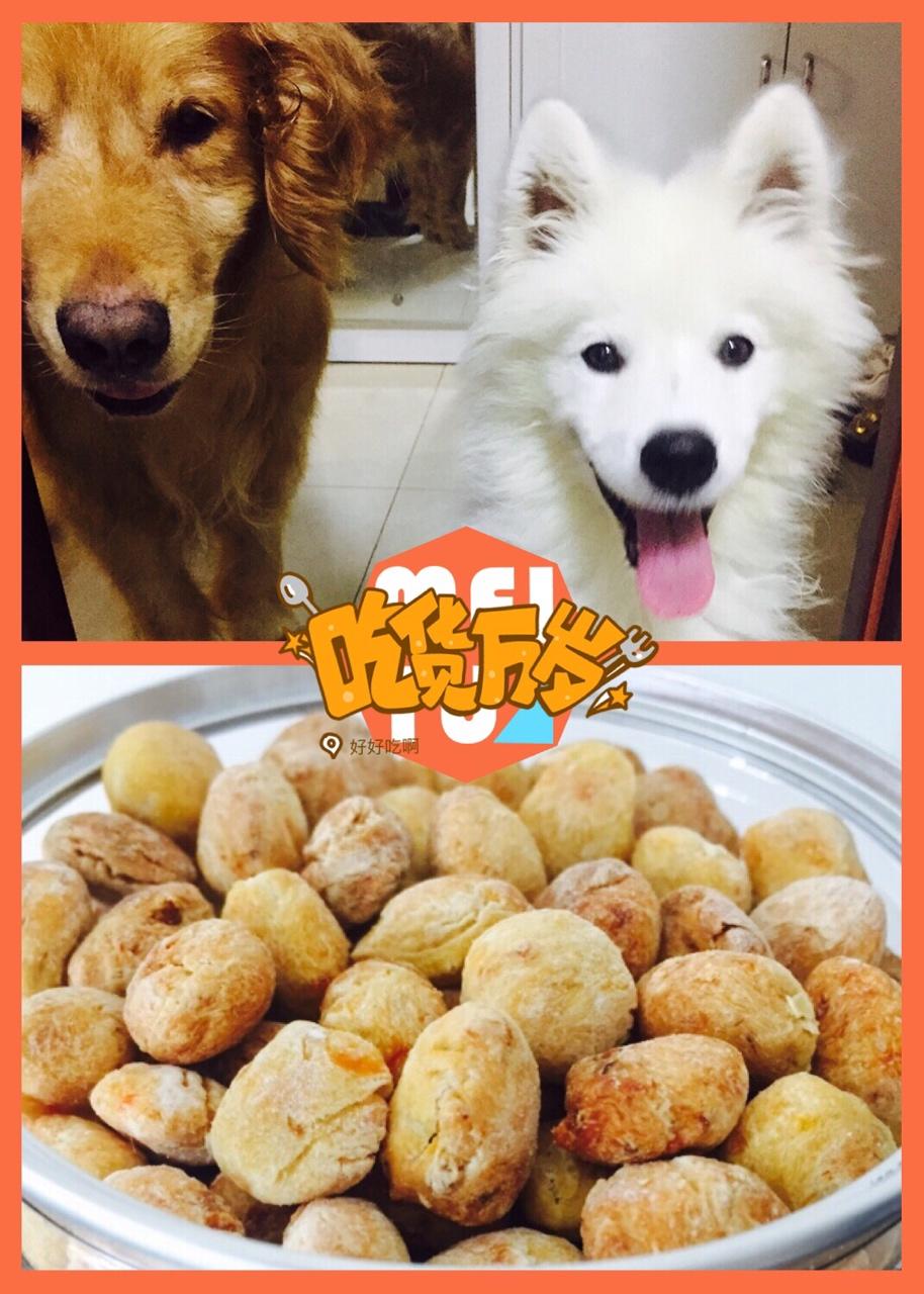 狗粮 狗狗健康零食