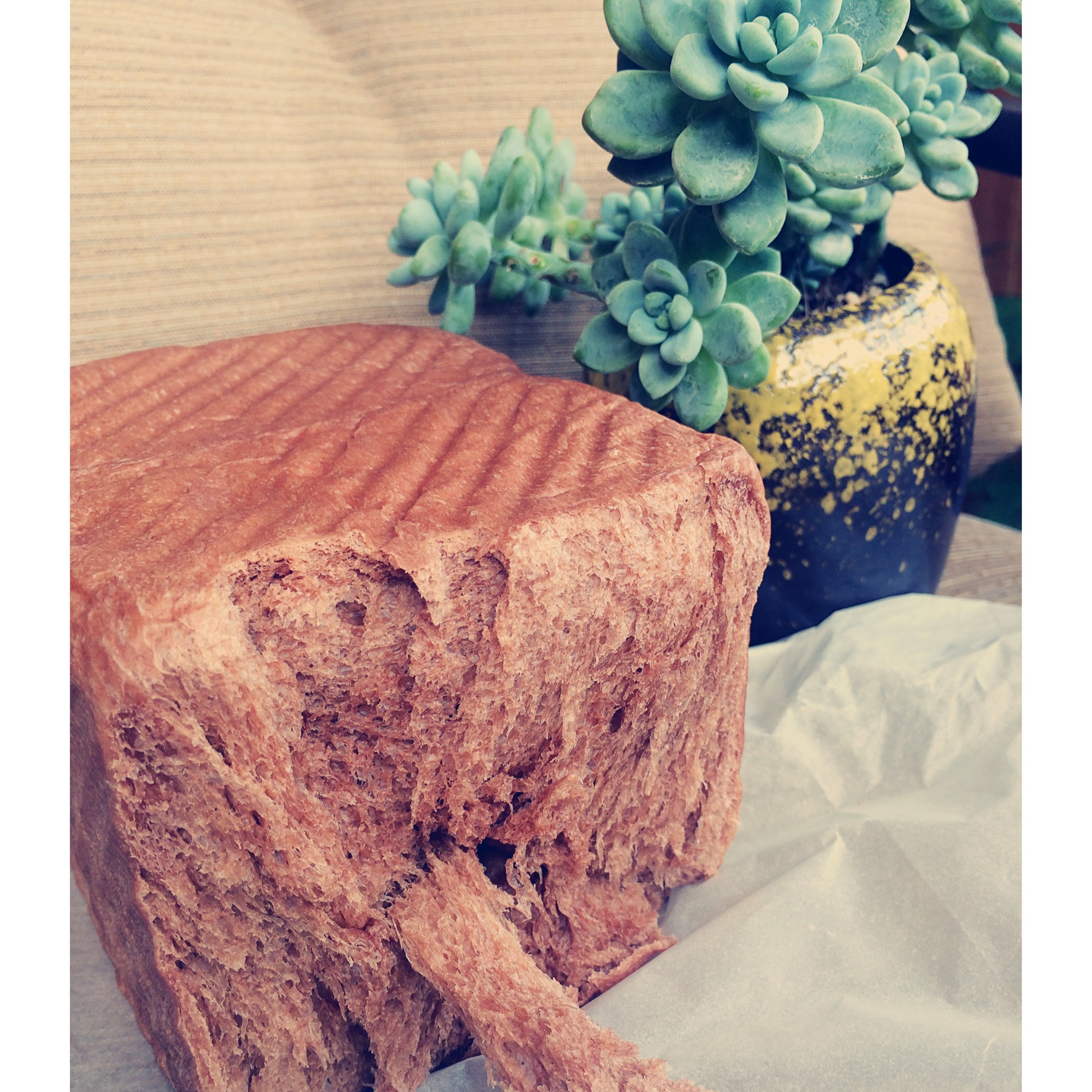 可可巧克力吐司