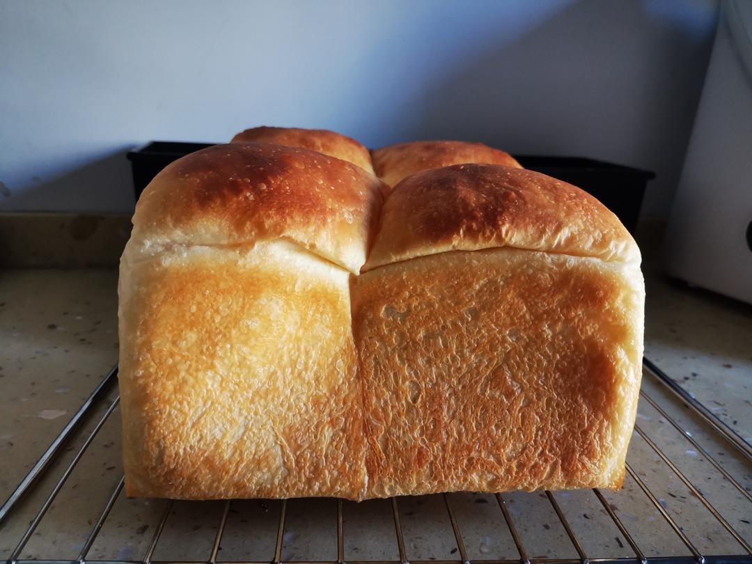 100%含水量豆腐生吐司