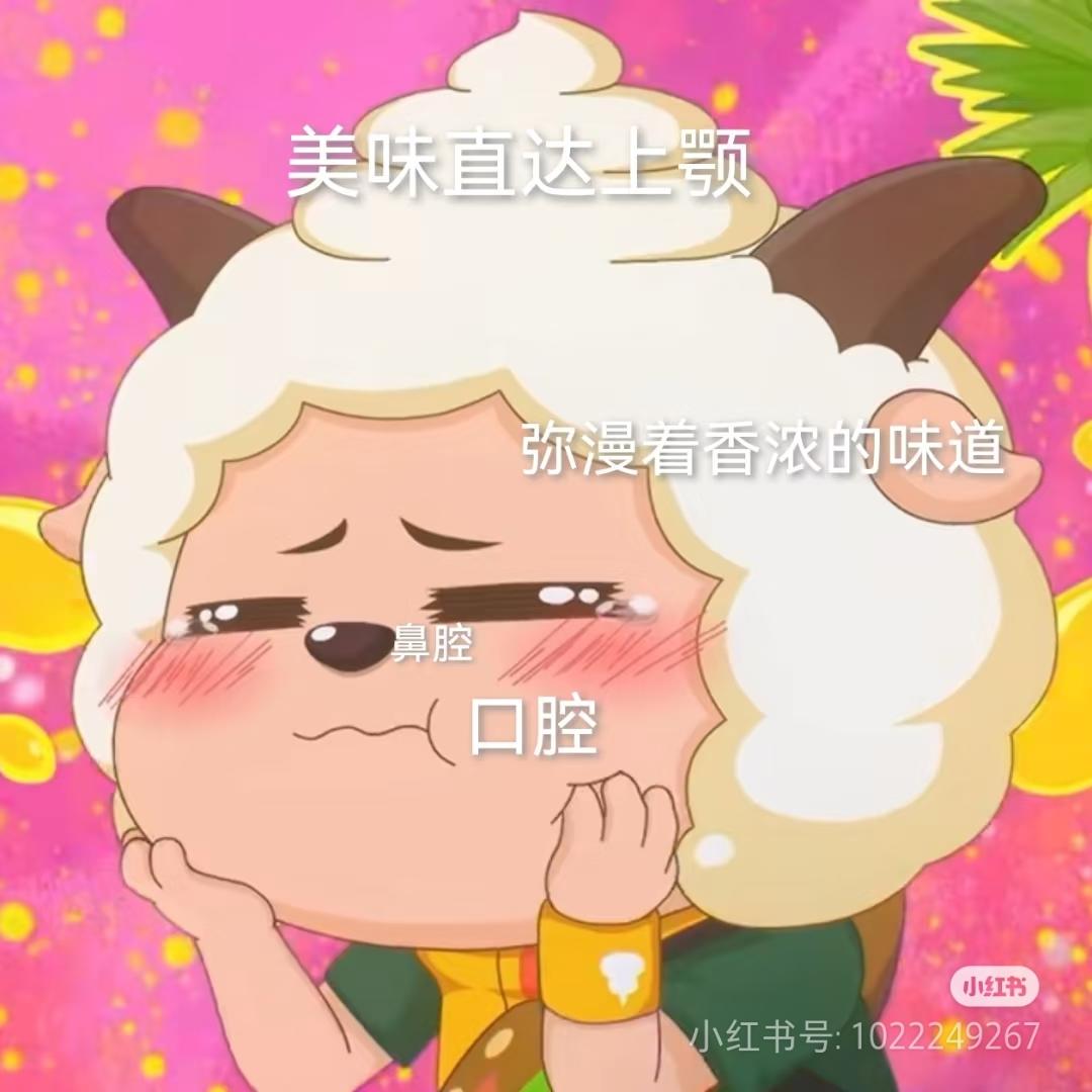 饺子馅 饺子 包子馅 包子