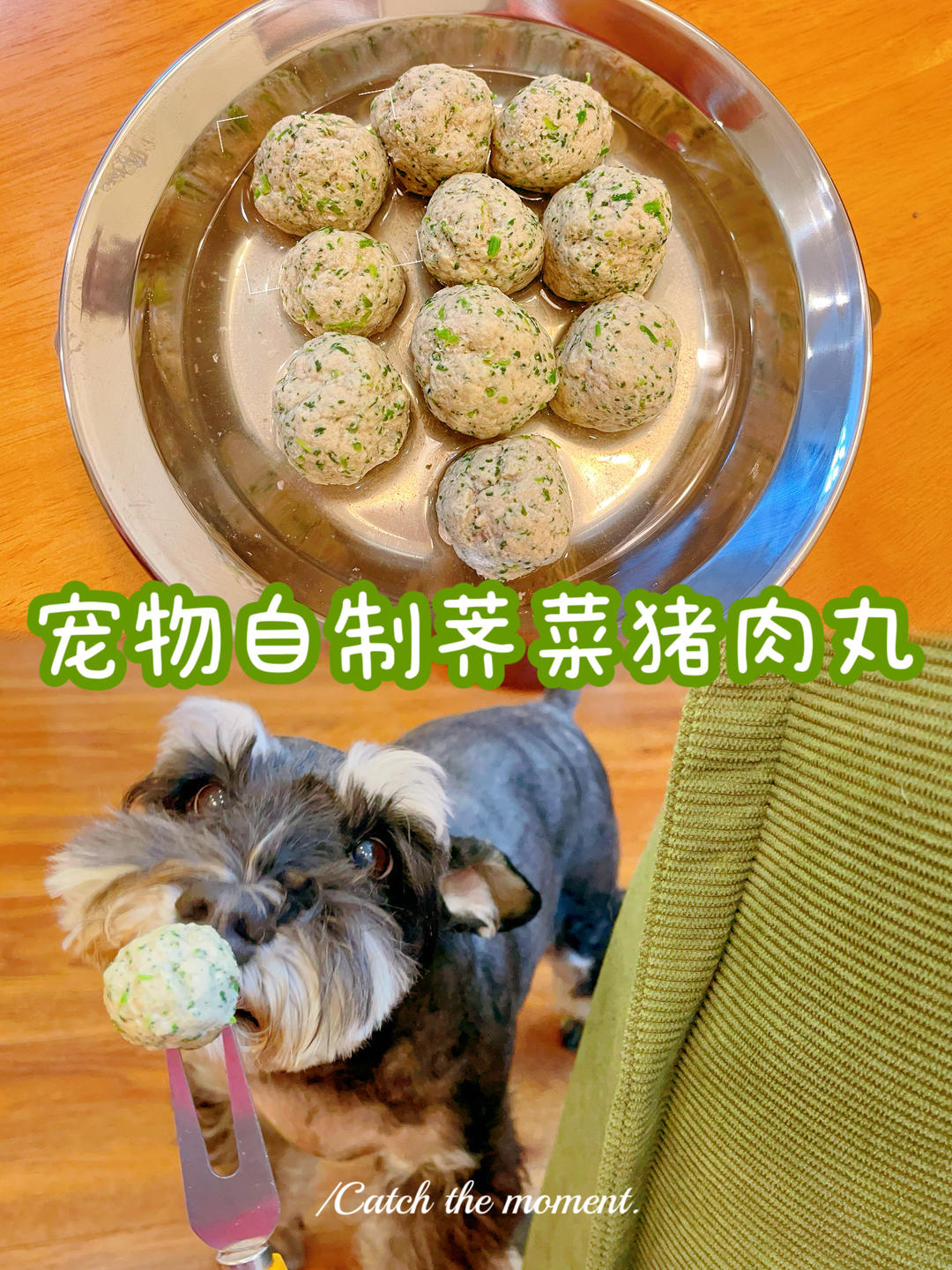 宠物自制荠菜猪肉丸