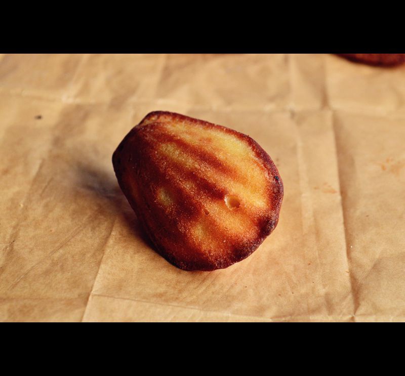 暖暖阳光の蹭蹭幸福……感恩有你