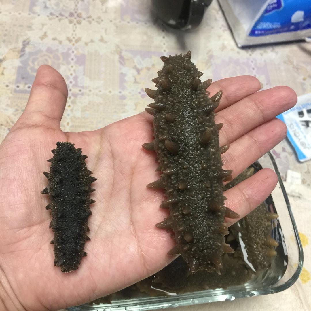 海参泡发攻略