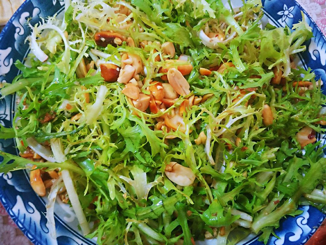 凉拌苦菊