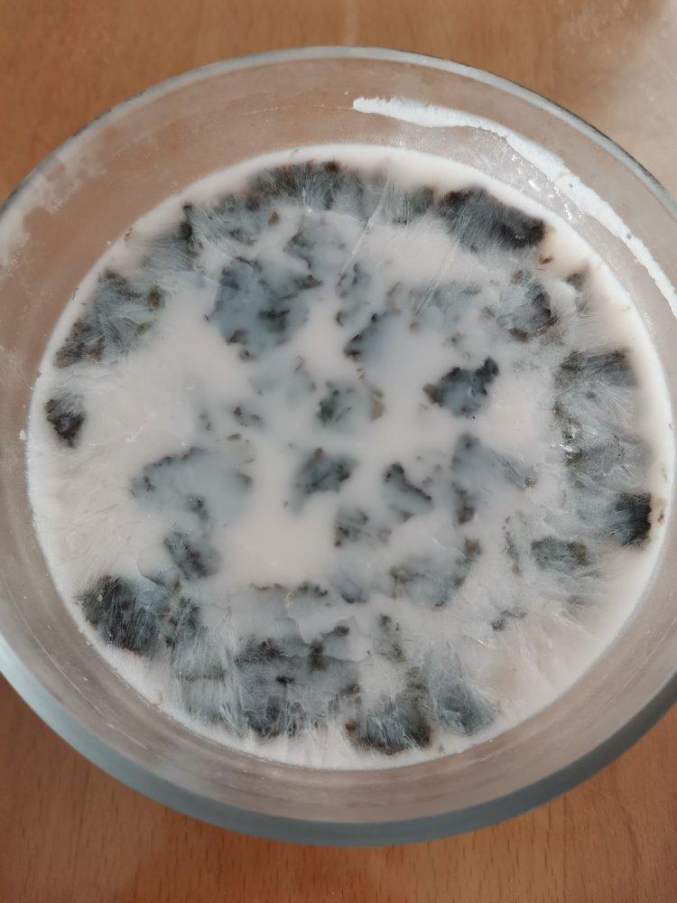 椰汁/牛奶冻（吉利丁版）