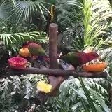 高中低粉不可缺