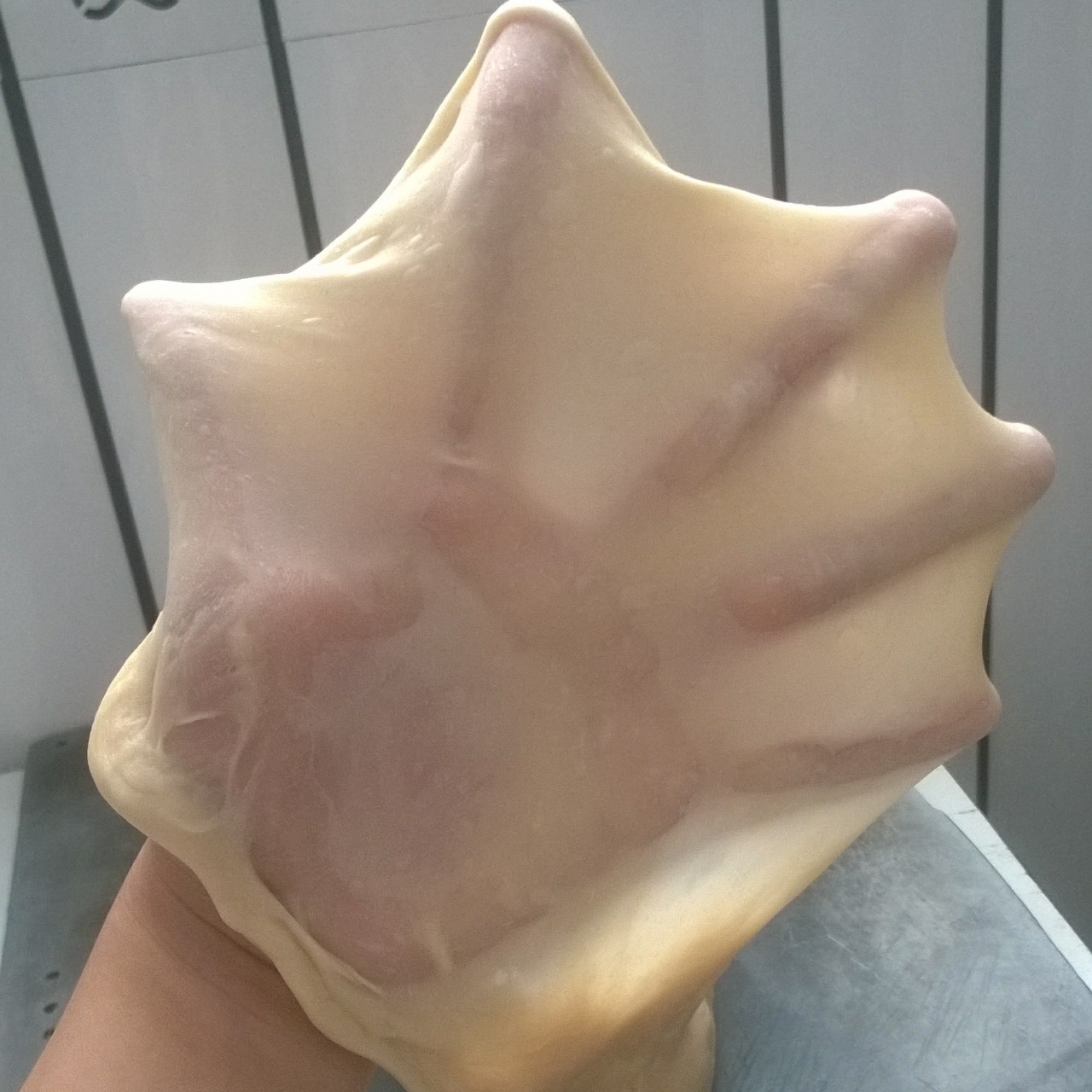 手工揉面揉至完全扩展阶段的经验汇总——鸭蹼不是梦！！！