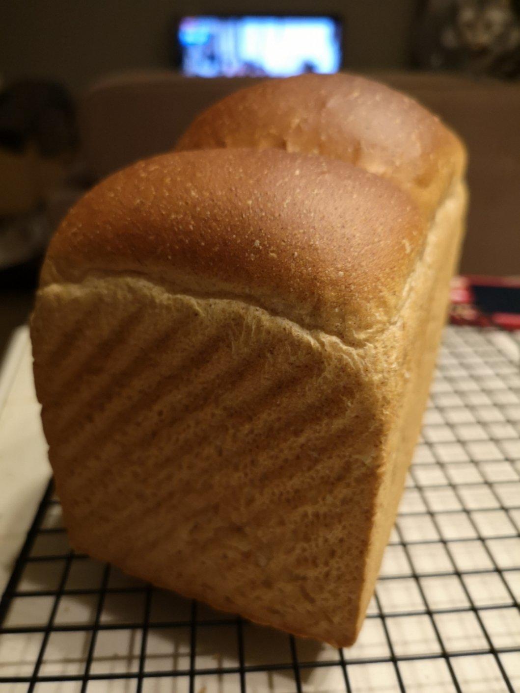 老面包土司！（普通面粉，植物油也可以做出好面包！小时候的味道。。。）