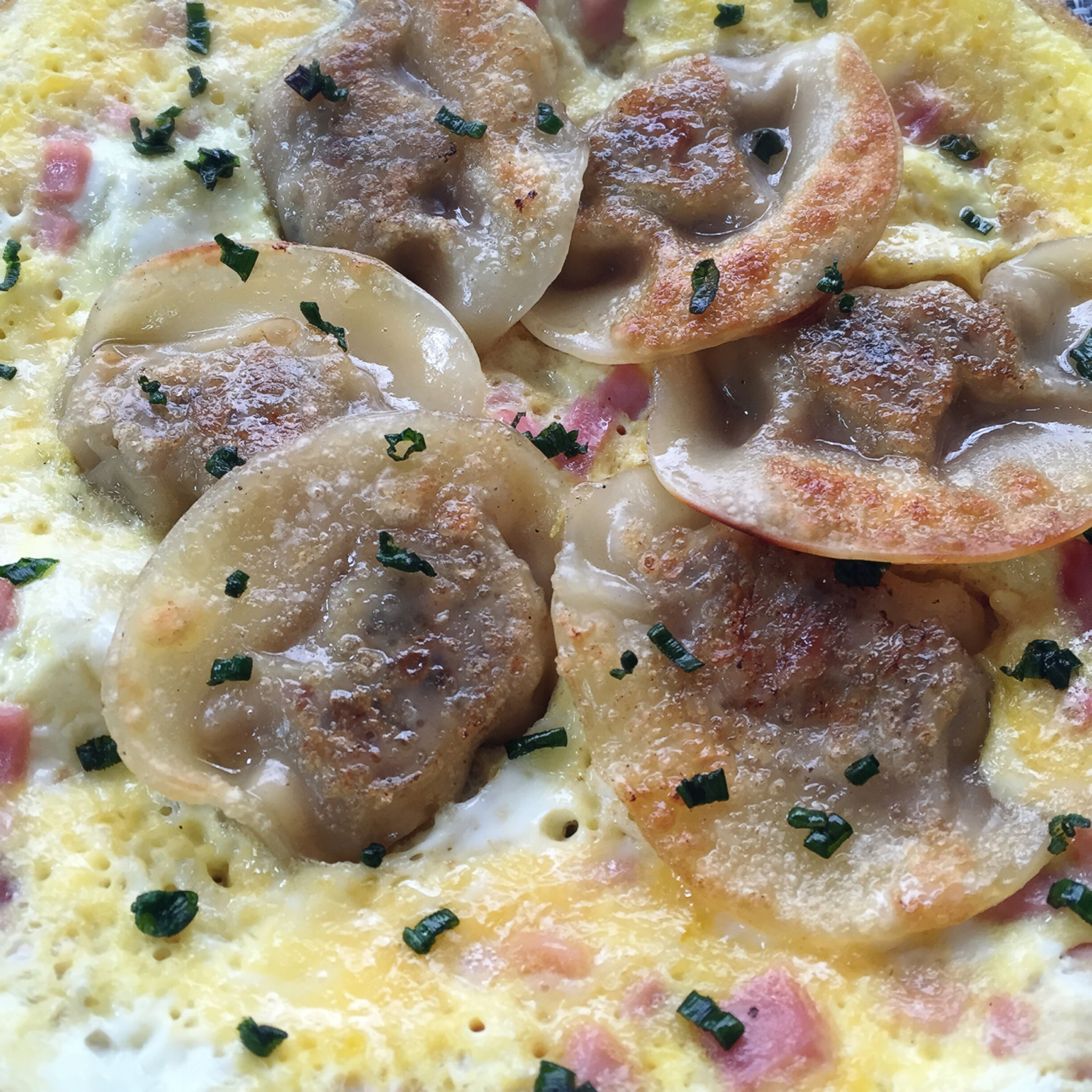 蛋抱煎饺（速冻饺）